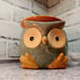 Hootie Owl Pink Zebra Simmer Pot sprinkles Wax Warmer Green Gold nwob