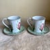 Villeroy and Boch Flora Wild Rose Cup&Saucer Set