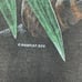 RARE Vintage 1995 Oneita Double Side Philadelphia Zoo Black Panther Mens Tank L