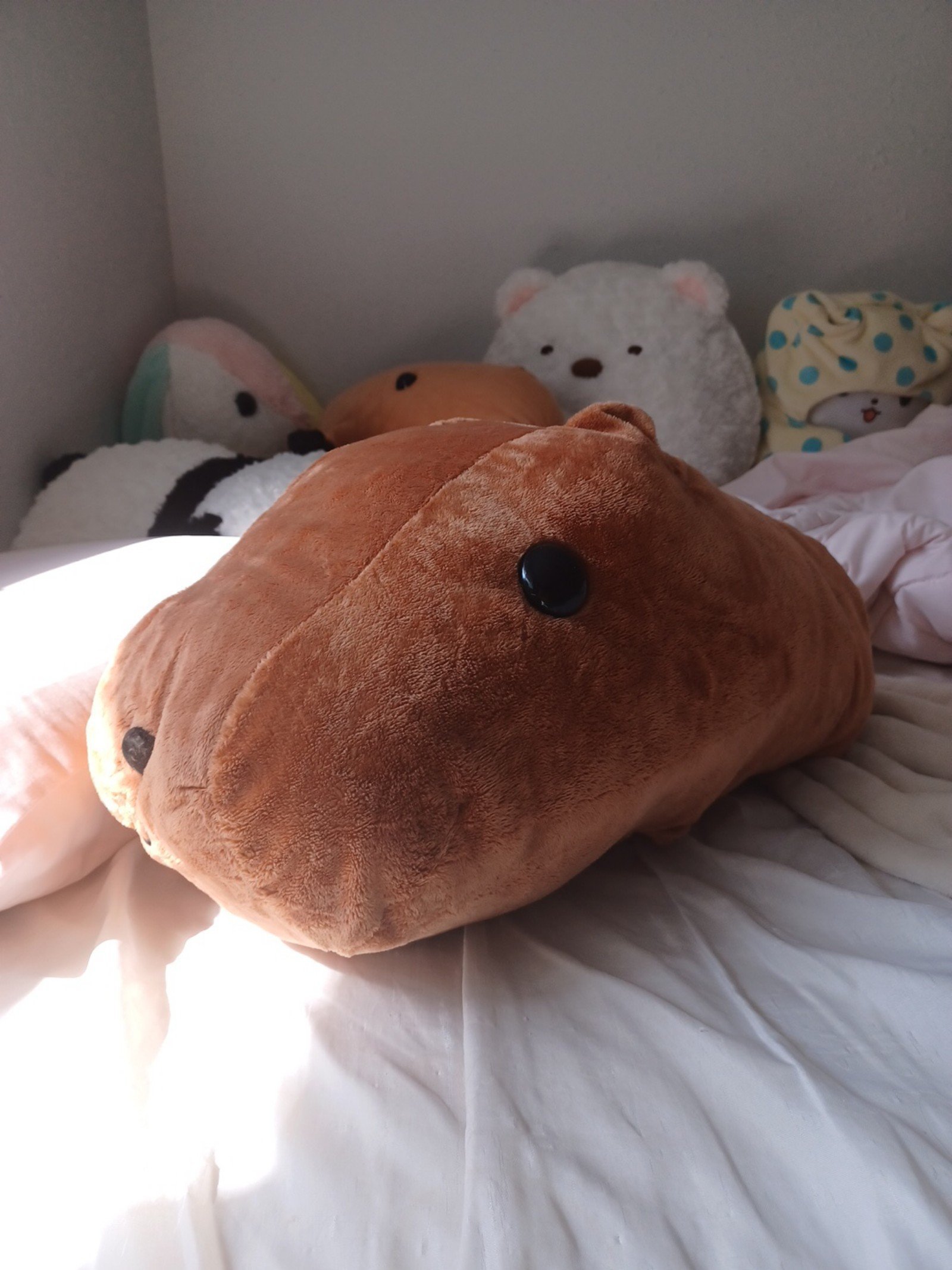 50cm BIG (Dark Brown) Kapibarasan Plush