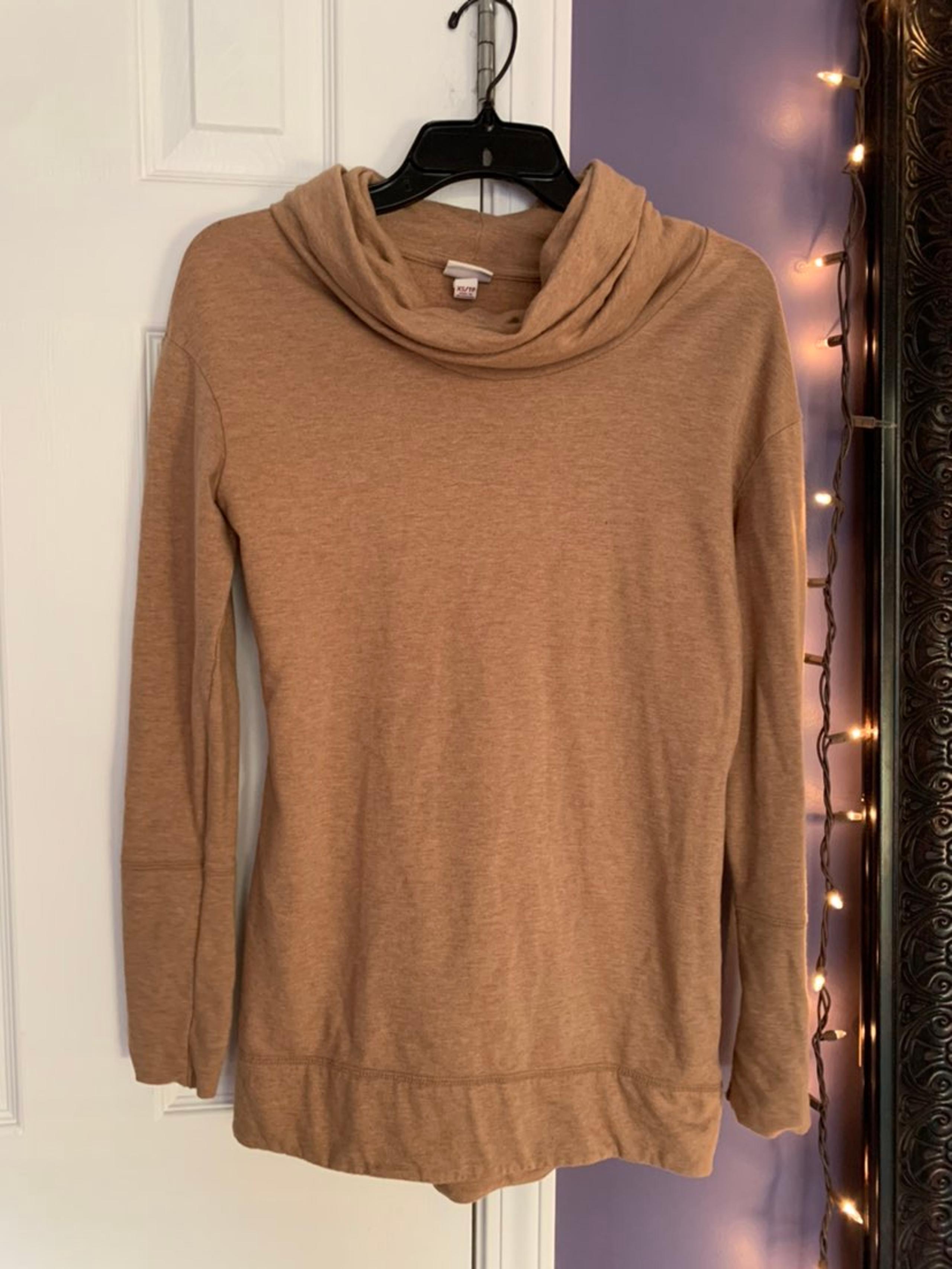 Brown sweatshirt w turtleneck