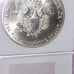1987 American Silver Eagle MS-70 Color Toned