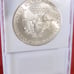 1987 American Silver Eagle MS-70 Color Toned