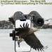 GLLYSION 12X50 Professional HD Binoculars for Adults with Phone Adapter