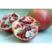 Rare Pomegranate Fruit Tree 'King' Variety, New Introduction From UC Davis
