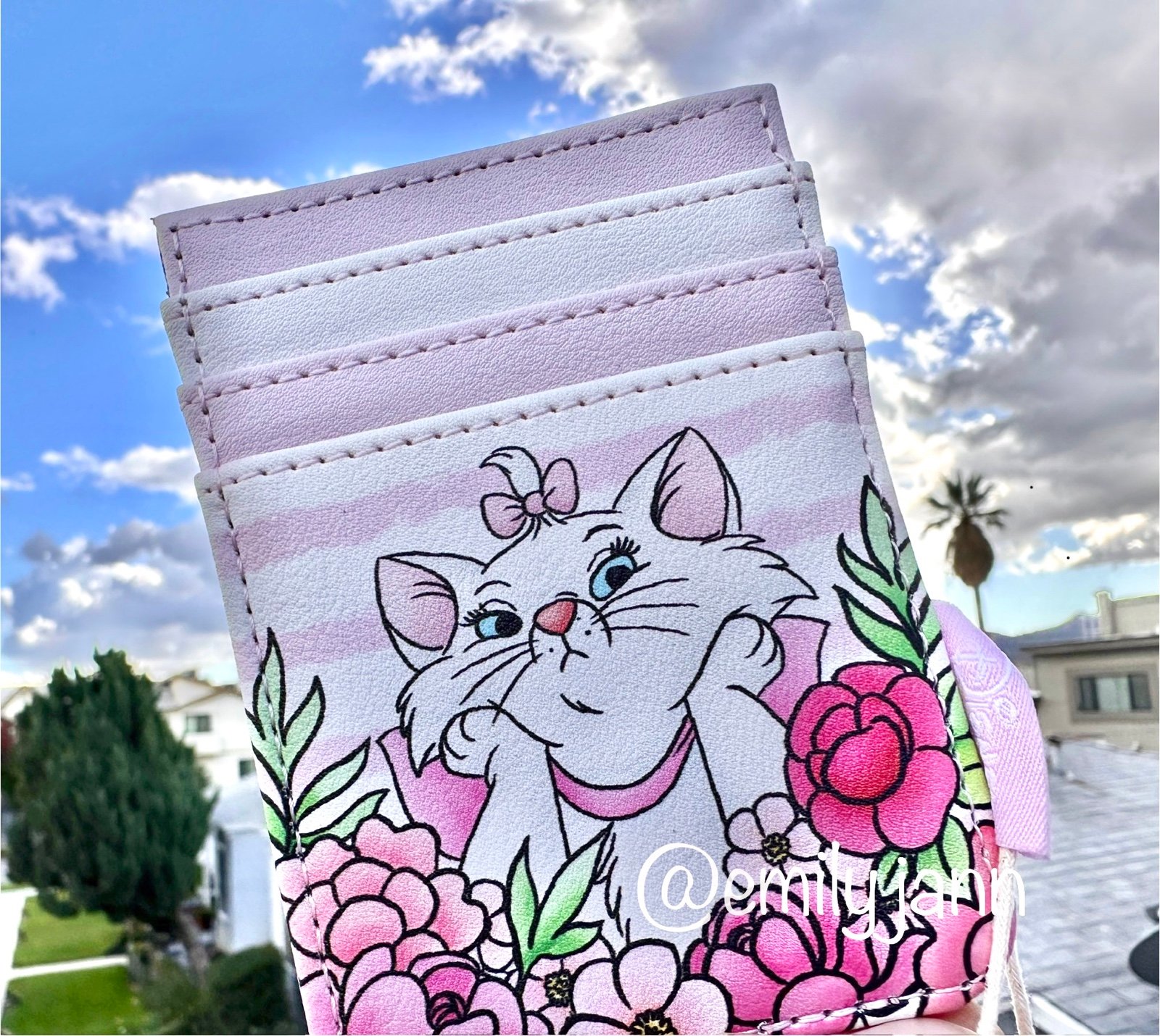 Disney Cardholder