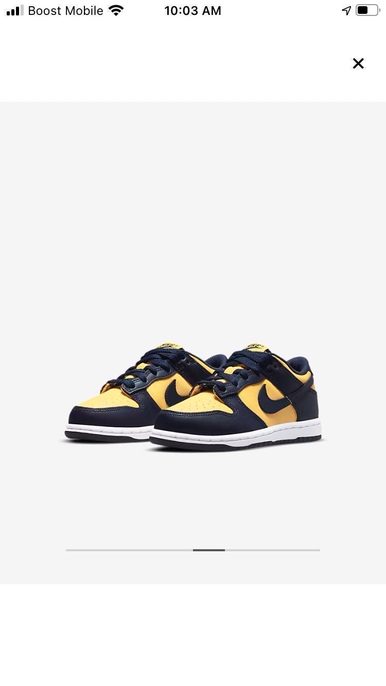 Nike Dunk Low Michigan sz 3