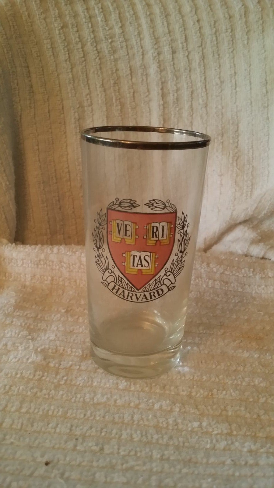 Set of 6 Silver Rimmed Harvard Veritas t