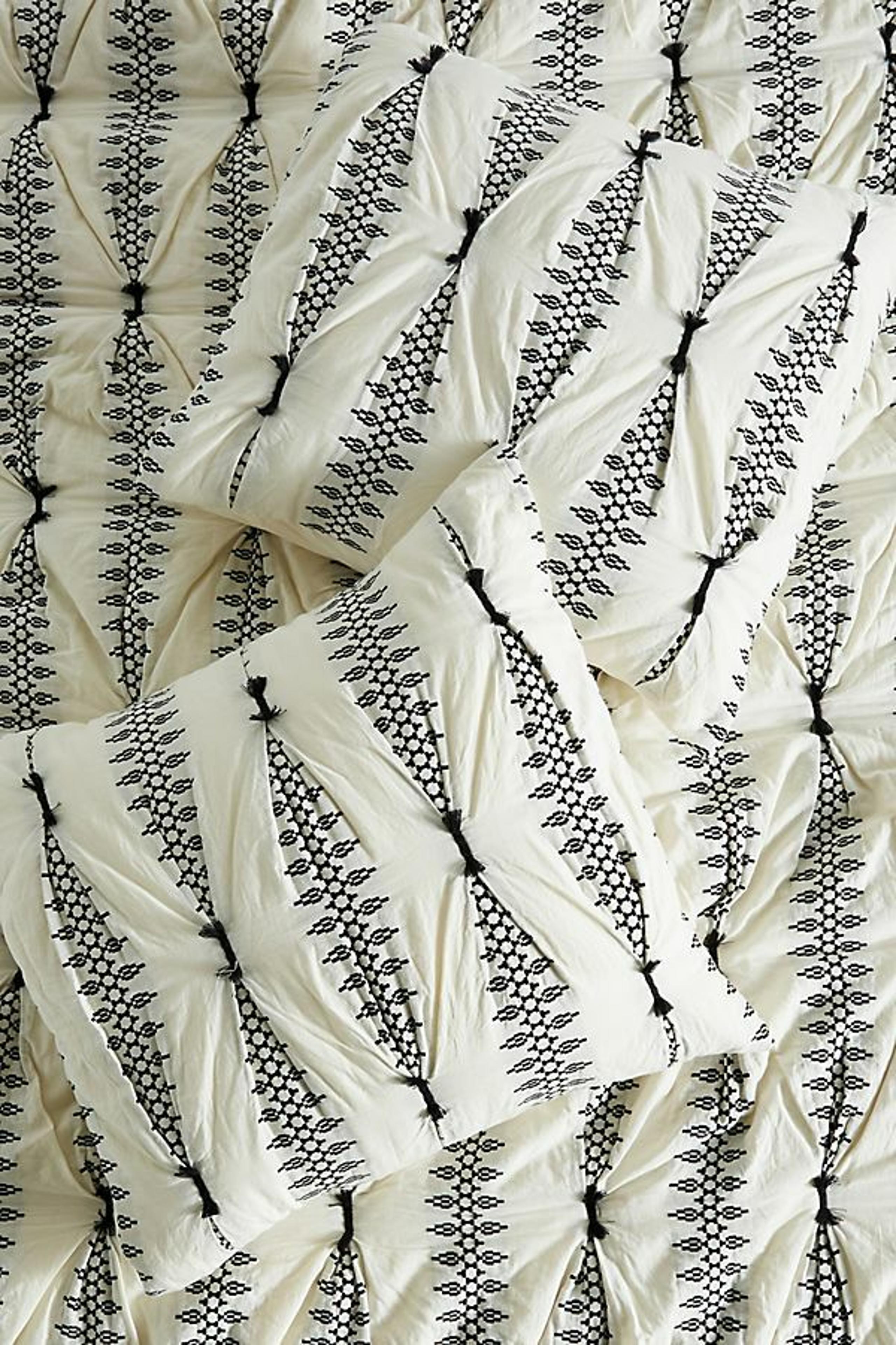Anthropologie Embroidered Shams