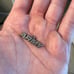 Army James avery charm