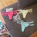 VS Thong bundle