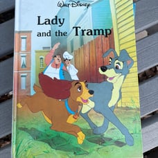 Walt Disney book bundle