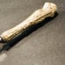 Antique Sterling Silver Fish Serving Knife Stainless Steel Blade Stamp Sterling