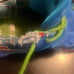 Nike Giannis Uno Blue Basketball shoes