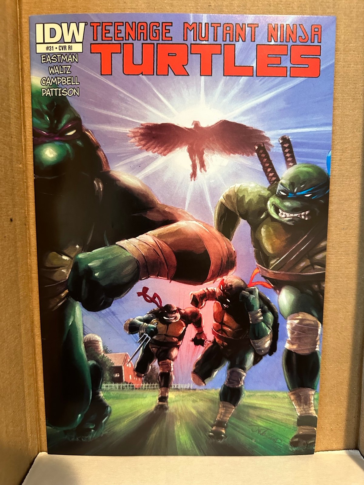Teenage Mutant Ninja Turtles #31 Very HTF Painted RI Variant (2014)
