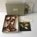 Martha by Mail Stewart Copper Cookie Cutters BEAUTIFUL BUGS Insects Box