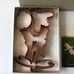 Martha by Mail Stewart Copper Cookie Cutters BEAUTIFUL BUGS Insects Box
