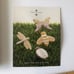 Martha by Mail Stewart Copper Cookie Cutters BEAUTIFUL BUGS Insects Box
