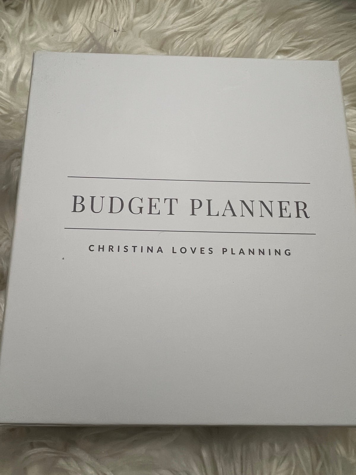 Christina loves planning undated budget book