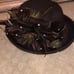 hats for women