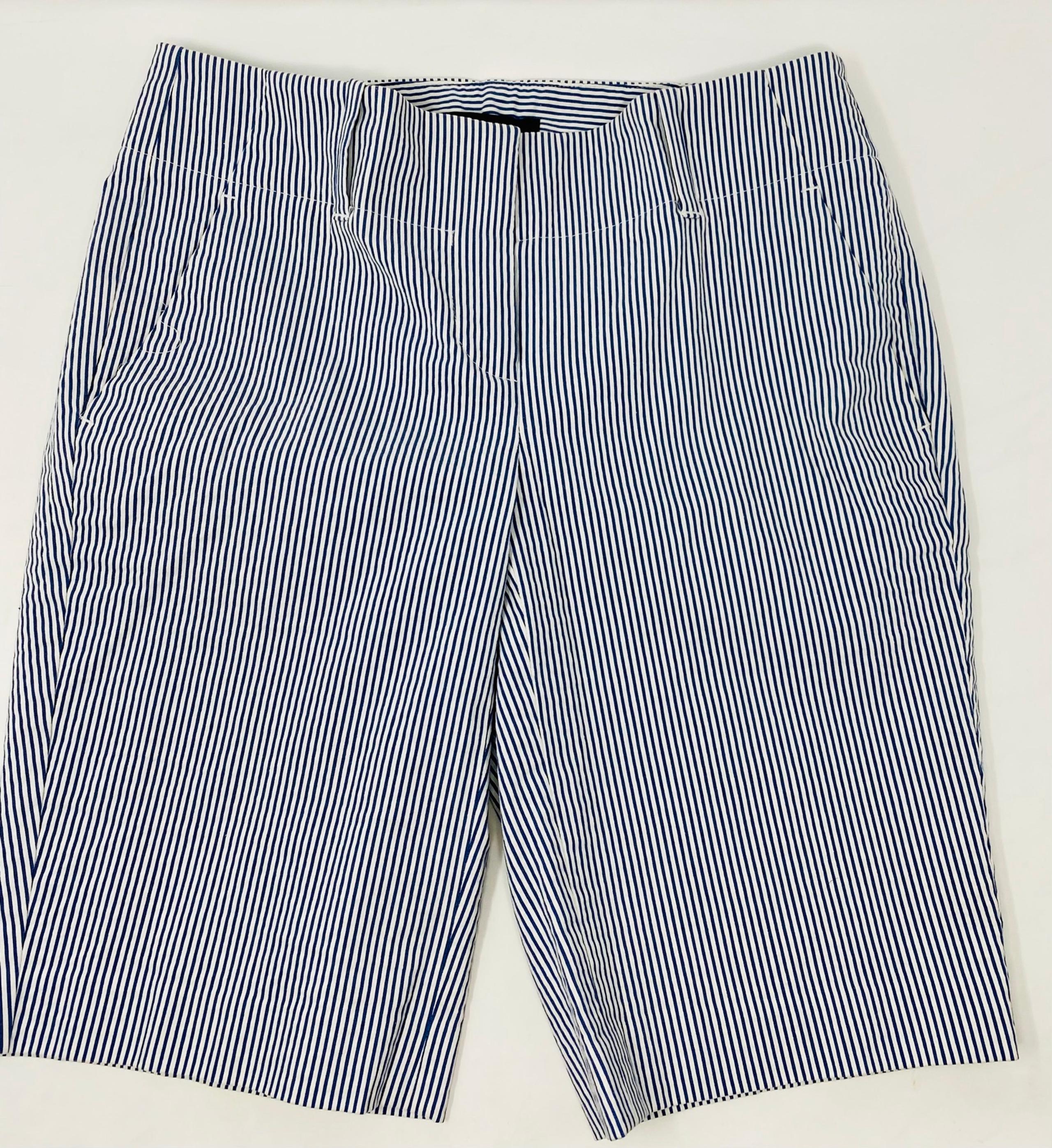 Women’s Ann Taylor Blue and White Flat Front Seersucker Shorts