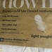 Charter Club down comforter lightweight king