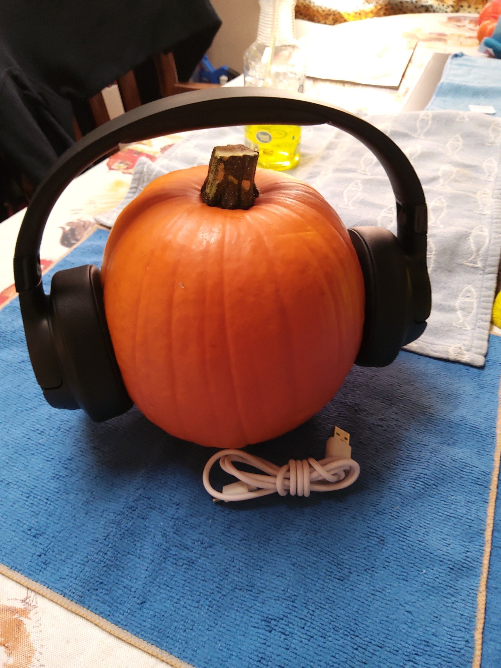 JBL wireless headphones