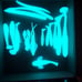1 set of Polar endros + uv flashlight
