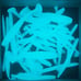 1 set of Polar endros + uv flashlight