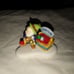 Department 56 North Pole series nice save