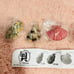 Toys Spirits Hiraku! Punyu! Punyu! Shellfish Mascot Full Set Series 1