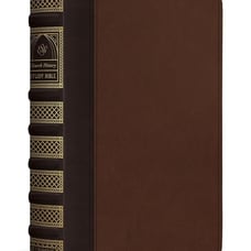 NEW ESV Church History Study Bible TruTone, Brown/Walnut