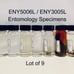 Entomology specimens - Insect Collection
