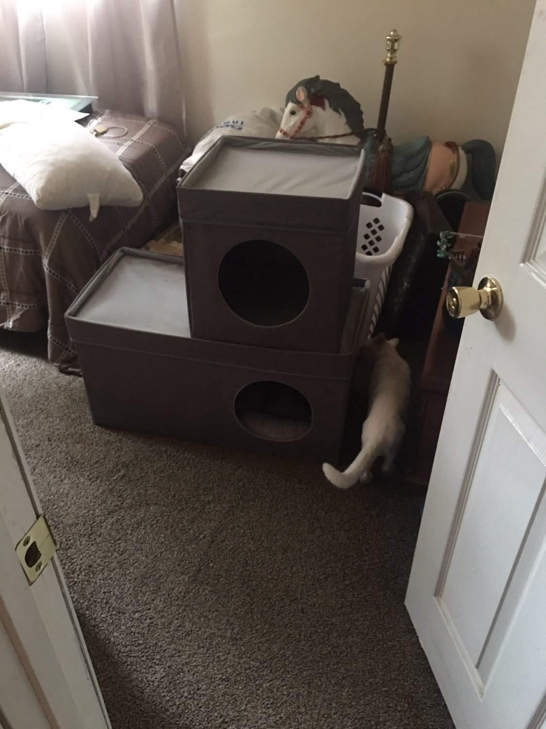 Kitty playhouse