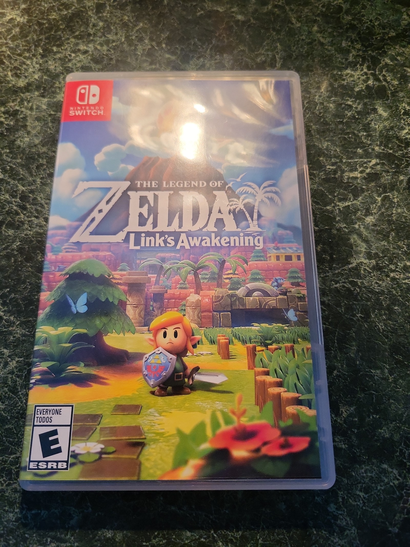 Zelda Link's Awakening for Nintendo Switch