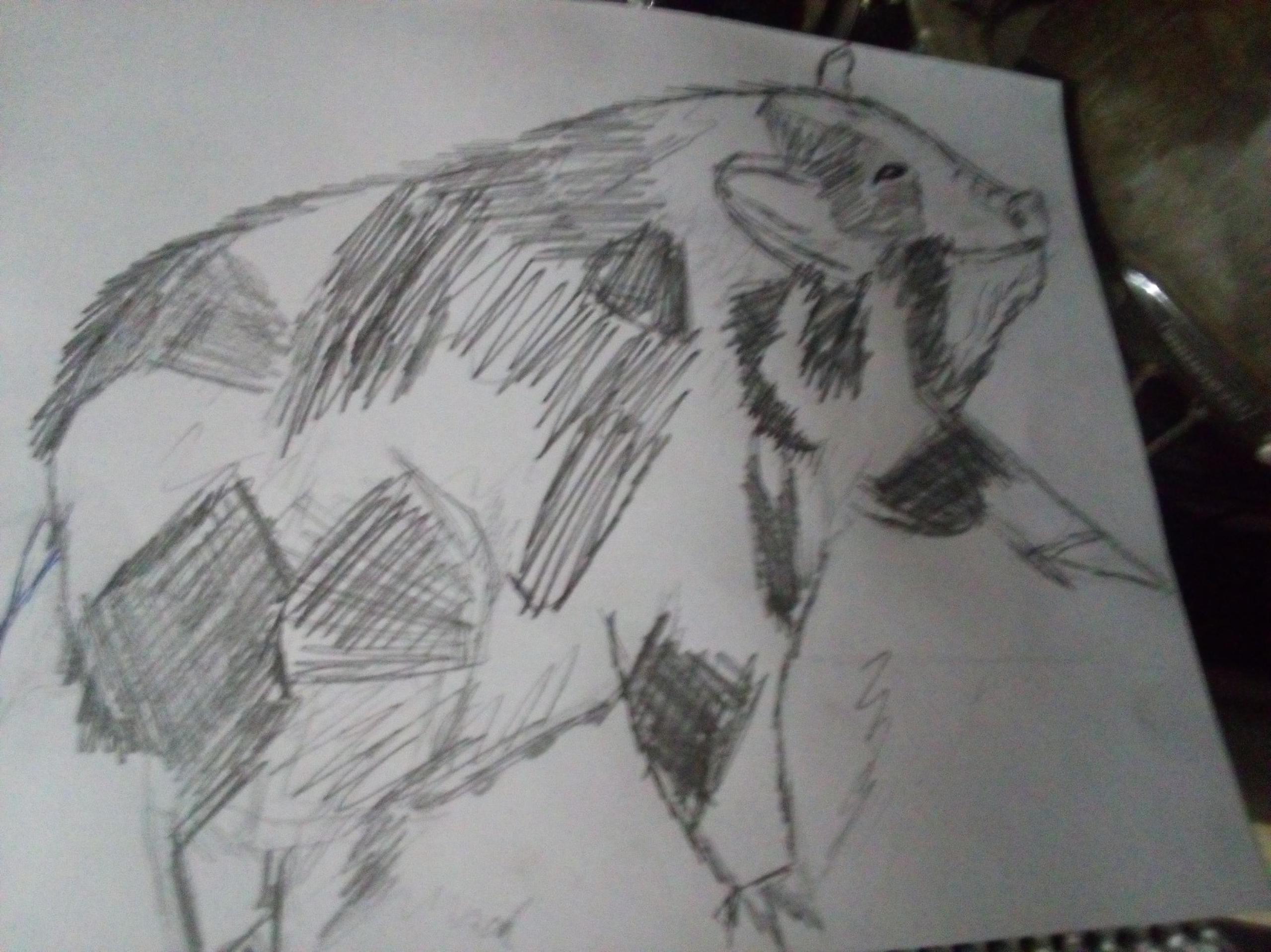 Drawing of a prancing pig I drew from YouTube videos