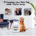 Gravity Pet Feeder