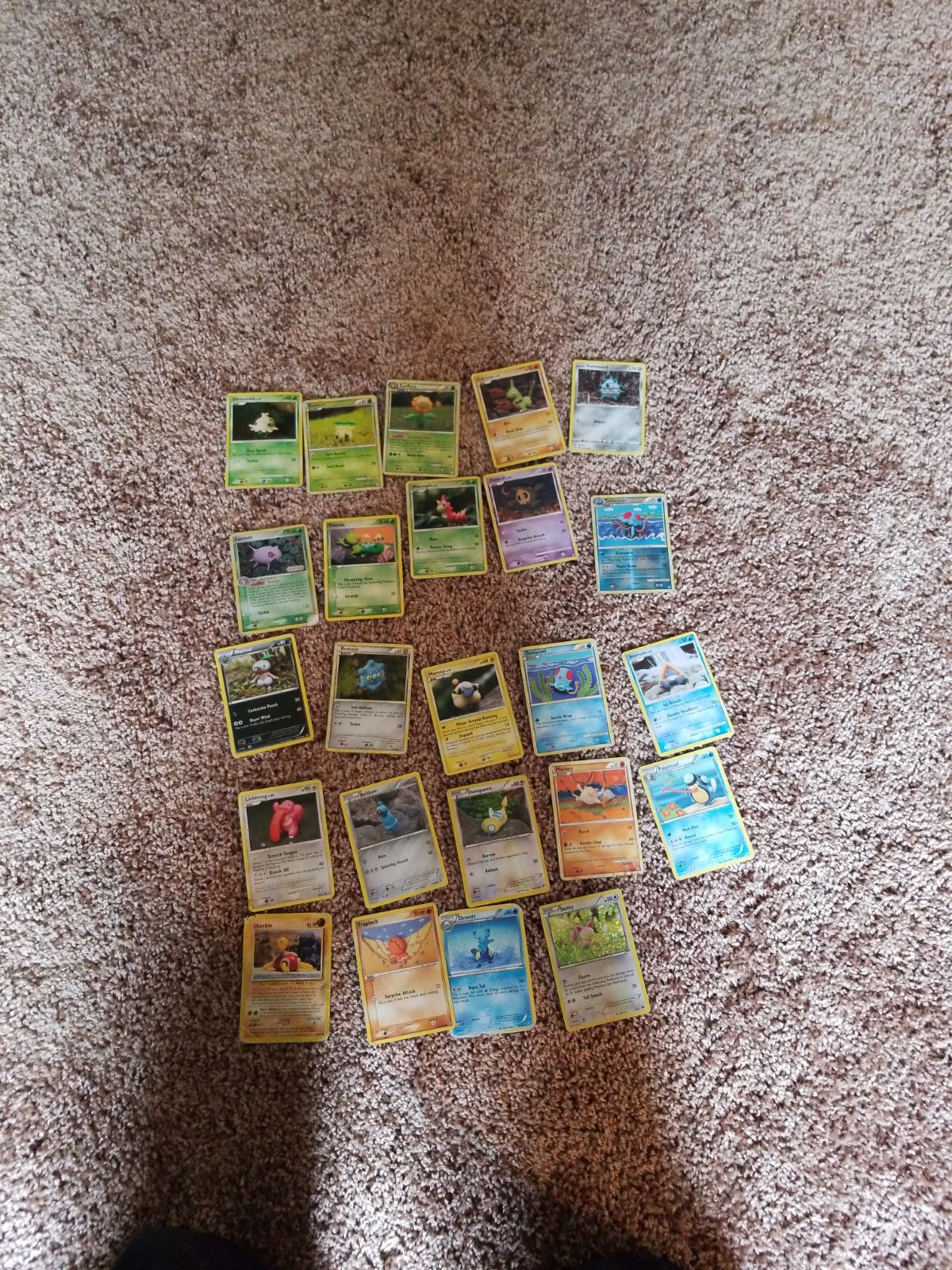 24 clay pokemon cards