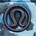 Lululemon Scuba Hoodie IIJumbo Mystic Jungle Hawk Blue Harbor Blue size 10