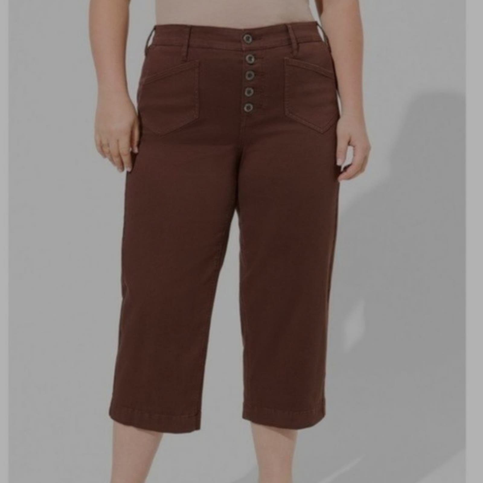 Torrid Crop Wide Leg Stretch Twill Hugh Rise Pant Size Plus 24 NWT