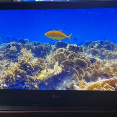 LG tv 24inch