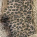 BLANKNYC Leopard Print Denim Shorts - 29
