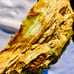 2lb Gary Green Jasper Bog Wood Larsonite Caldera Freedom Stone Rough Raw Natural