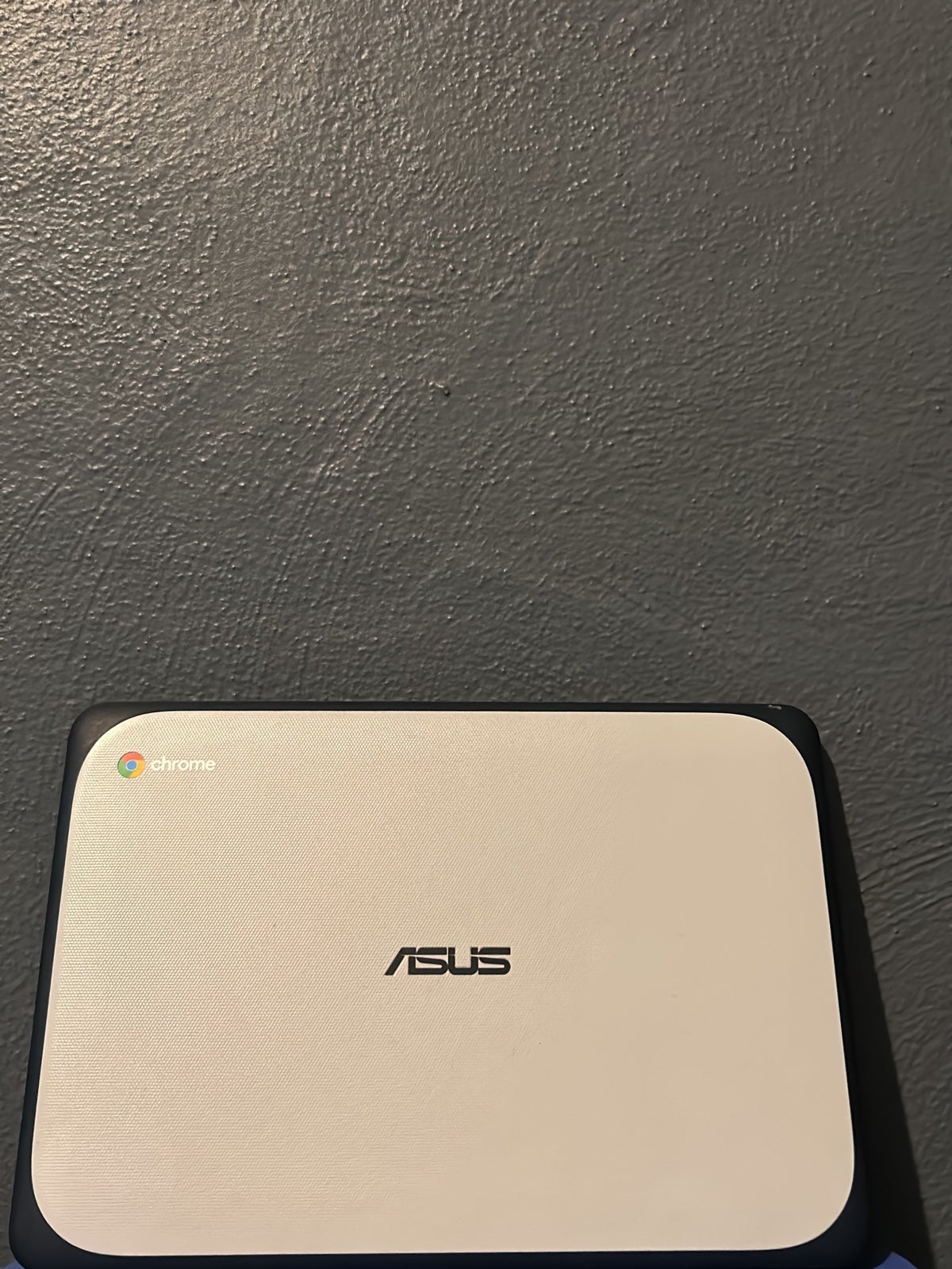 Asus Cromebook C202SA