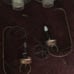 Budweiser lights