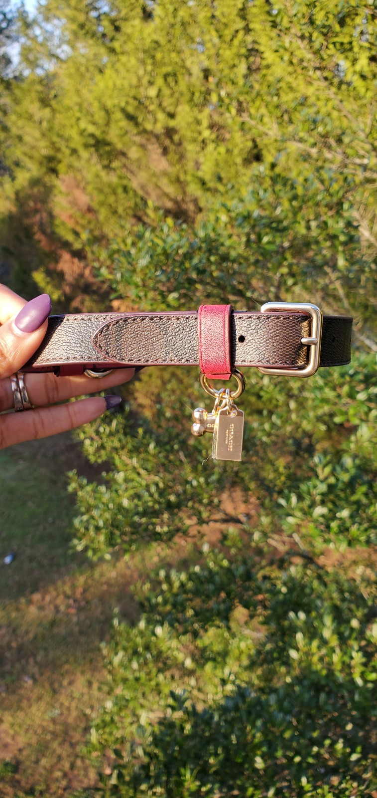 New in box Coach Medium Pet Collar