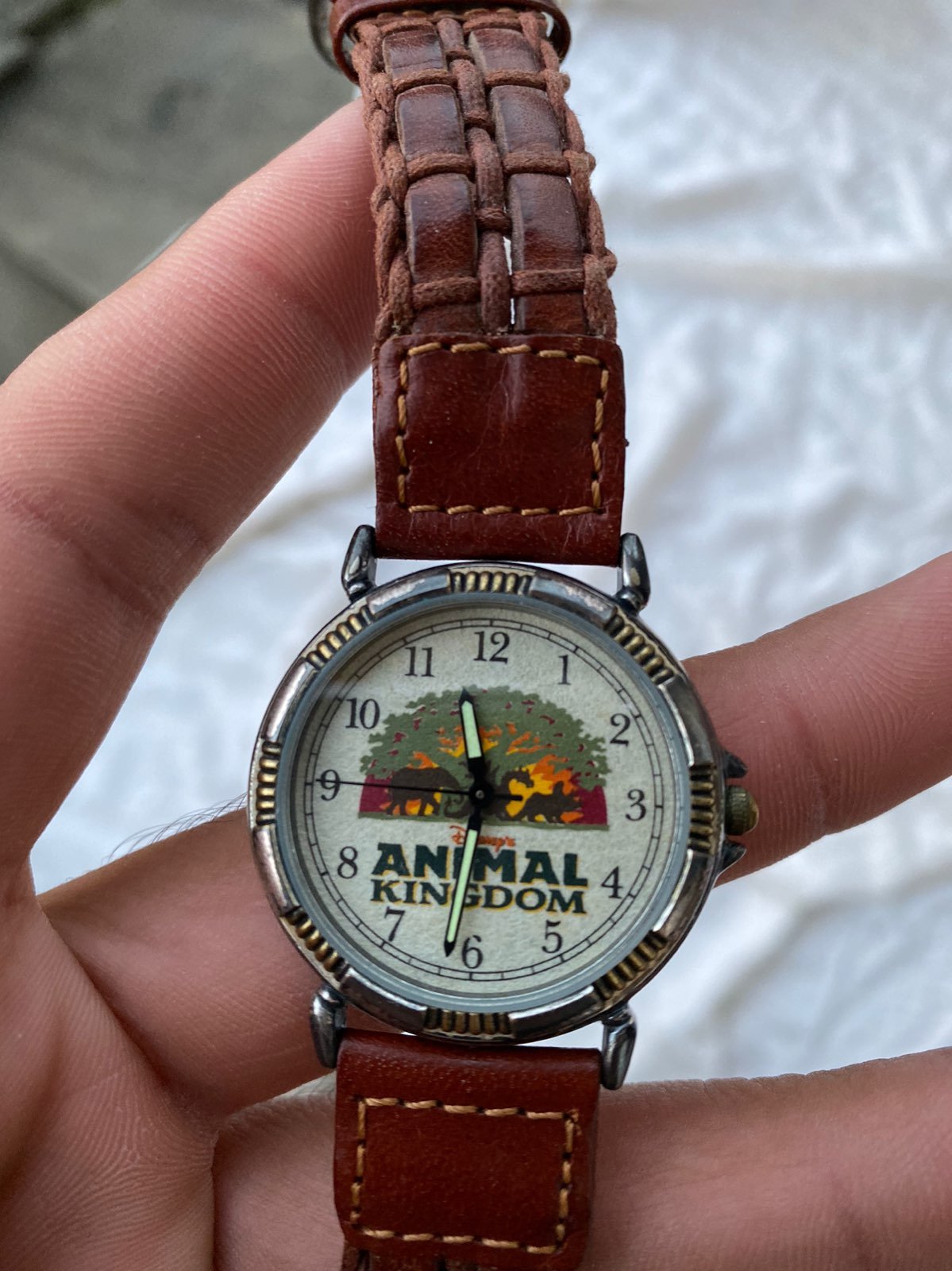 Vintage Disney Animal Kingdom Limited Ed