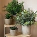 NEW 4 Packs Fake Plants Small Artificial Plants Indoor