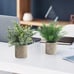 NEW 4 Packs Fake Plants Small Artificial Plants Indoor