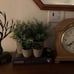 NEW 4 Packs Fake Plants Small Artificial Plants Indoor
